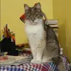 Отзыв от Вера Кириллова